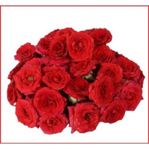 Assorted Roses 200g